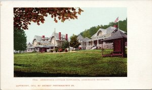 Adirondack Cottage Sanitarium Adirondacks NY Detroit Photographic Postcard G11