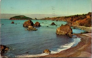 Vtg 1950's California Coast Chrome Postcard