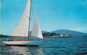 Maine Camden Harbor Sailboat Curtis Island Light Eastern Postcard 22-2354