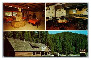 Mineral Springs Resort Multiview Cle Elum Washington WA UNP Chrome Postcard S9