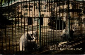 Polar Bears At Zoo Franklin Park Boston Massachusetts 1914