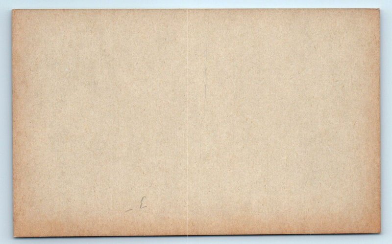 ASSINIBOINE Indian CHIEF BIG DARKNESS ~ Native American Arcade Exhibit  Card