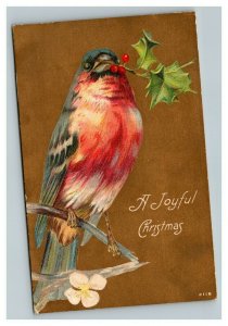 Vintage 1910's Christmas Postcard - Blue Bird Mistletoe Holly Berries Gold Face