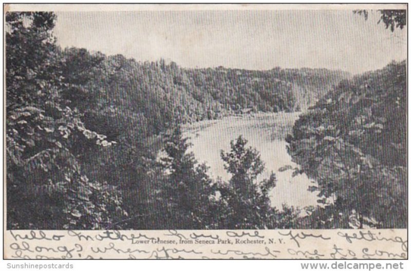 New York Rochester Scene On Lower Genesee River From Seneca Park