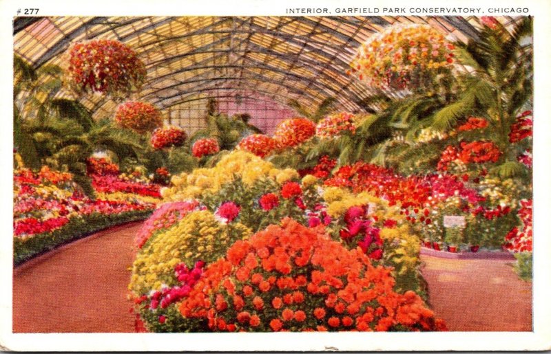 Illinois Chicago Garfield Park Conservatory Interior 1940