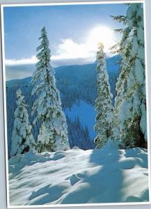 Oregon Cascades in winter