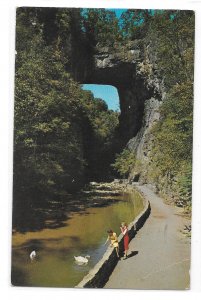 Virginia Natural Bridge Tourists Cedar Creek Trail  3 Vintage 1960s Postccards