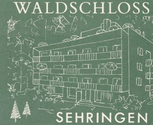 Germany Sehringen Hotel Waldschloss Vintage Luggage Label sk2098