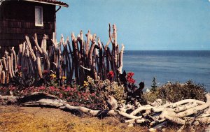 Malibu California Driftwood Fence,  Overlooking Pacific Ocean, Vintage PC U14265