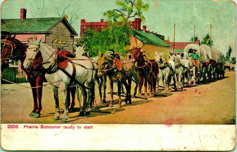 Prairie Schooner Ready to Start Covered Wagon Horses 1910s DB Postcard UNP 