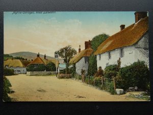 Dorset WEST LULWORTH Myrile Cottages & THE CASTLE INN Old Postcard H.J. Chaffey