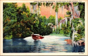 Jungle Cruise Beautiful Silver River Springs Florida FL VTG Postcard Curt Teich  