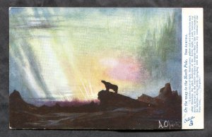 dc94 - NORTH POLE 1910s Artist Signed A. OPERTI. Tuck