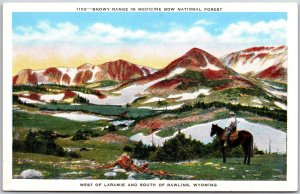 Snowy Range in Medicine Bow National Forest West Laramie Wyoming WY Postcard