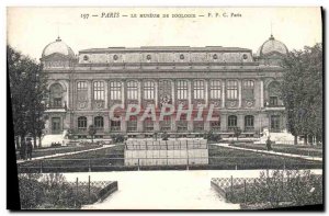 Old Postcard Tour Paris The Museum Of Zoology Zoo