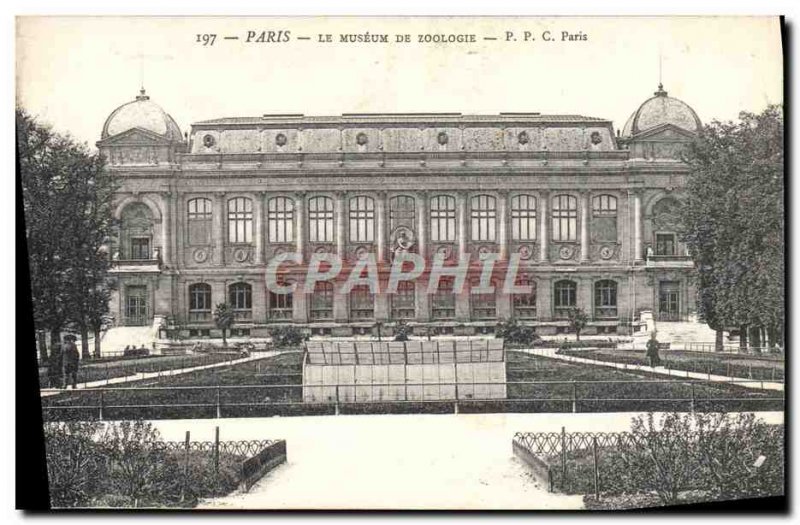Old Postcard Tour Paris The Museum Of Zoology Zoo