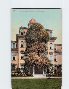 Postcard Rose Porch Mills College California USA