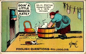 Artist Signed Rube Goldberg Foolish Questions No 1,000,015 Doin Washin' Postcard