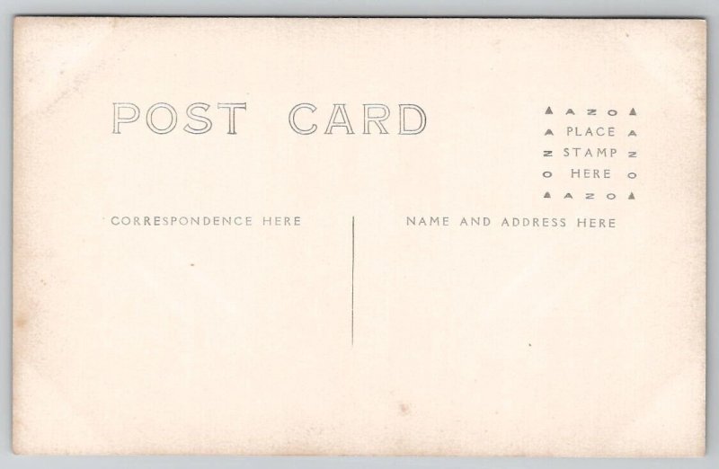 RPPC Edwardian Young Woman Pretty Dress c1914 Postcard D27