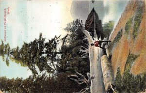 Puget Sound Washingotn 1910 Postcard Driftwood