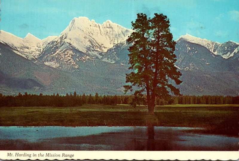 Montana Glacier National Park Mount Harding In The Mission Range 1979