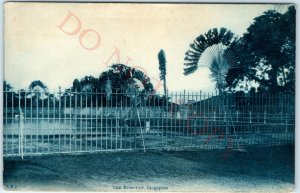 c1910s Singapore Reservoir Cyanotype Litho Photo Postcard Palm Tree Fence A51