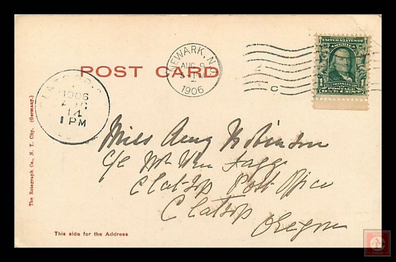 Donkeys, Central Park, NYC  