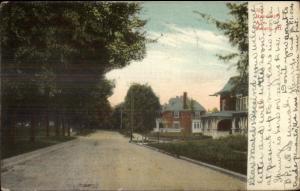 Peoria IL Randolph Ave c1910 Postcard