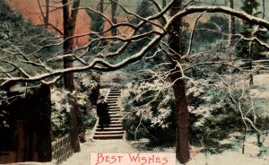 Best Wishes - Man in Park during a Snow Storm - in 1910