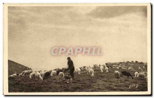 Old Postcard The Pasture Pyrenees Shepherd and sheep