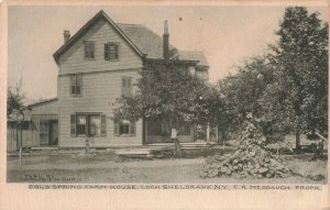 c.1901-07 Cold Spring Farm House, Loch Sheldrake, N.Y. Postcard 10C1-364 