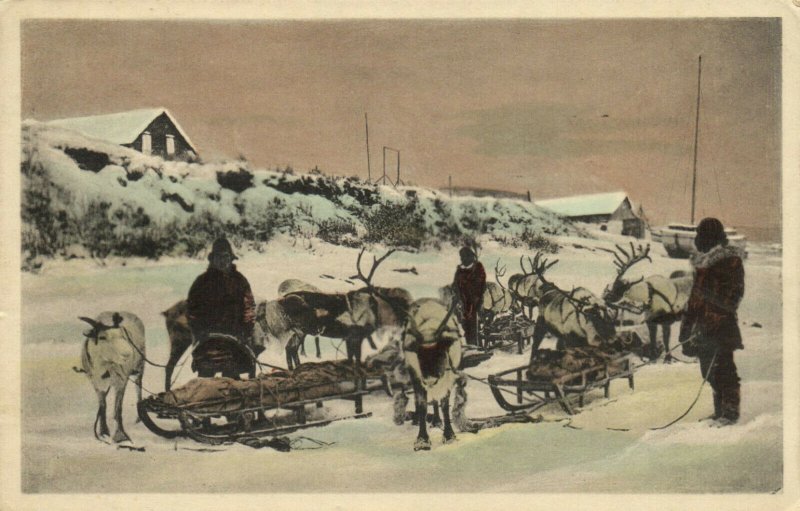 PC CPA US, ALASKA, REINDEER SLEDS, Vintage Postcard (b24695)