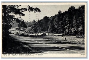 1937 View Freeway Cross Road Town Knoxville Norris Tennessee Gloss Tone Postcard