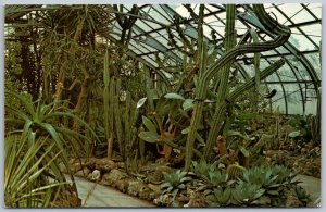Cincinnati Ohio 1960s Postcard Desert Garden Irwin M. Krohn Conservatory