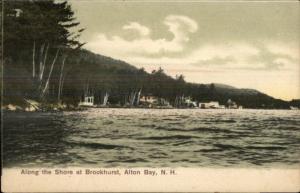 Shore at Brookhurst Alton Bay NH c1905 Postcard