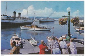 Inner Harbour, Famous and beautiful hanging baskets, Victoria, British Columb...