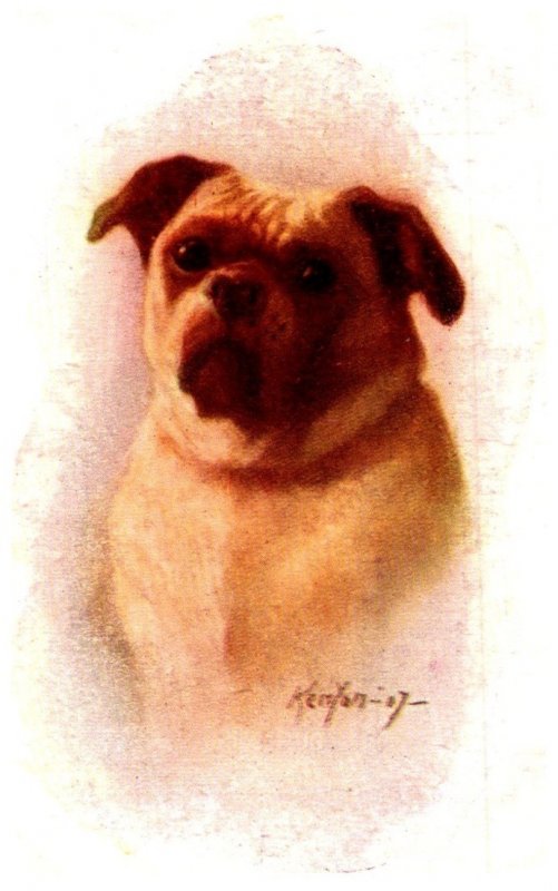 Dog , , artist signed