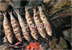 Postcard Modern Tipicos Platos de Espana Grilled sardines