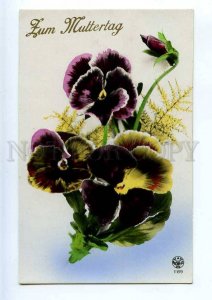 240409 PANSY Flowers for Mother Vintage Photo NOYER postcard
