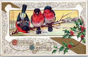 Christmas Greertings  -  Birds and Holly by LCS Series 210B -Posted 1912
