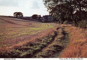 Northaw Fields Field Cuffley Herts Hertfordshire Womens Institute Postcard