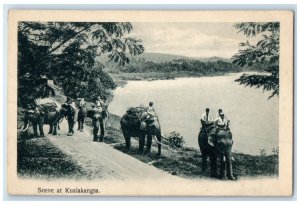 c1930's Riding Elephants River View Kuala Kangsar Perak Malaysia Postcard