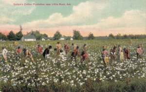 USA Dortchs Cotton Plantation Near Little Rock Arkansas Black Americana   06.42