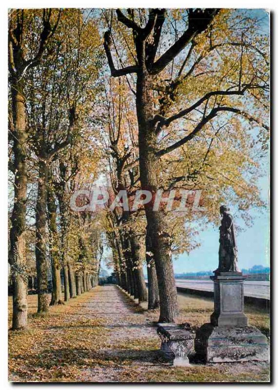 Postcard Modern Boissy St Leger (Val de Marne) En Foret Boissy Autumn Poetry