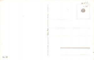 Cat Cats, Post Card, Post Card  