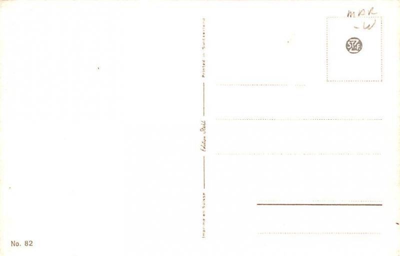 Cat Cats, Post Card, Post Card  