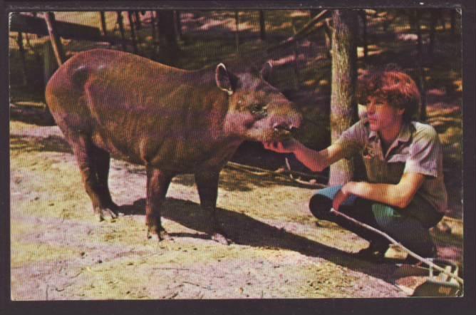 Tapir,Parke County,IN Postcard 