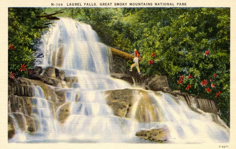 NC & TN - Great Smoky Mountains National Park .Laurel Falls