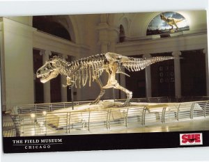 Postcard Sues skeleton Stanley Field Hall The Field Museum Chicago Illinois USA