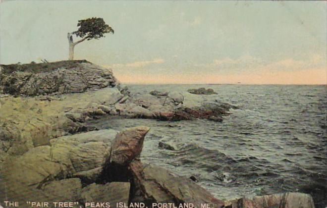 Maine Portland The Pair Tree Peaks Island 1910